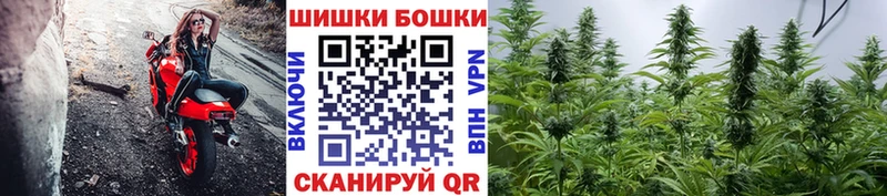 Где можно купить наркотики Барабинск APVP  Мефедрон  Псилоцибиновые грибы  ГАШ 